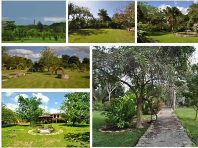 Jardines